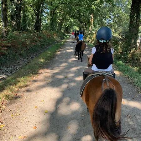 Maison 80 M2 A 5mn De Nantes 公寓 *